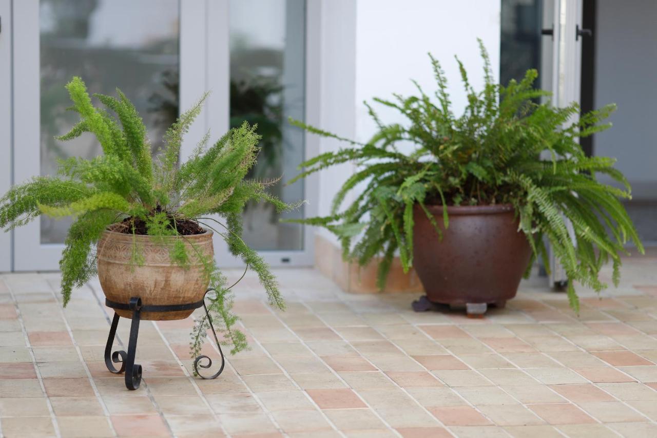Albariza Hotel Boutique Sanlúcar de Barrameda Екстериор снимка