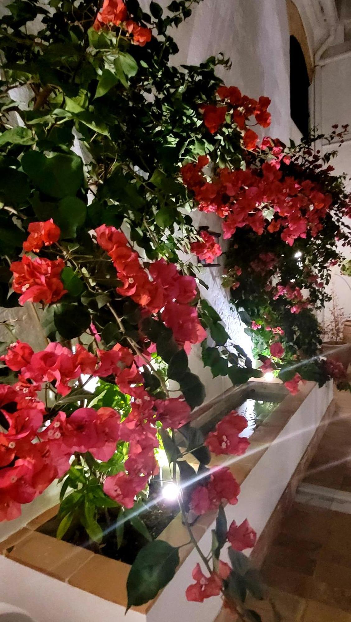 Albariza Hotel Boutique Sanlúcar de Barrameda Екстериор снимка